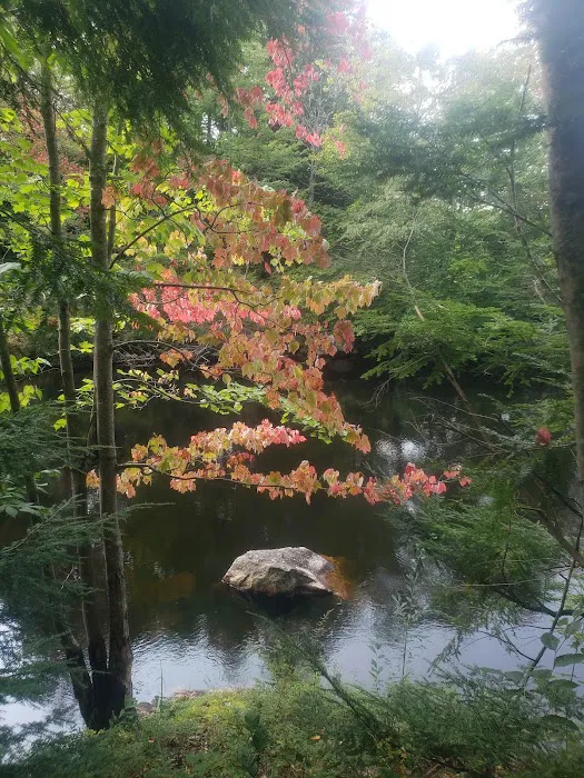 Soft Maple Campground Picture 5