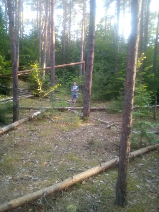 Soft Maple Campground Picture 7