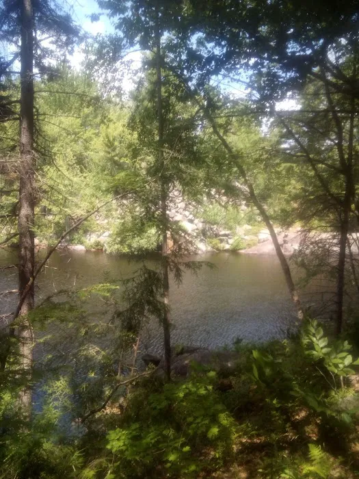 Soft Maple Campground Picture 8