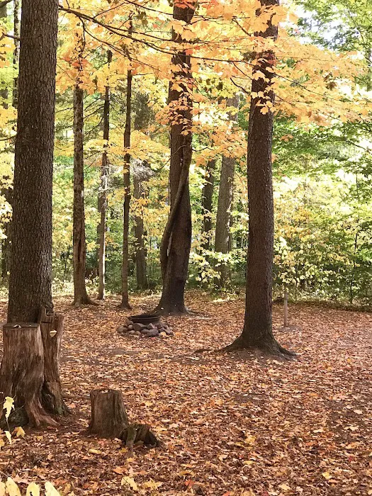 Soft Maple Campground Picture 2