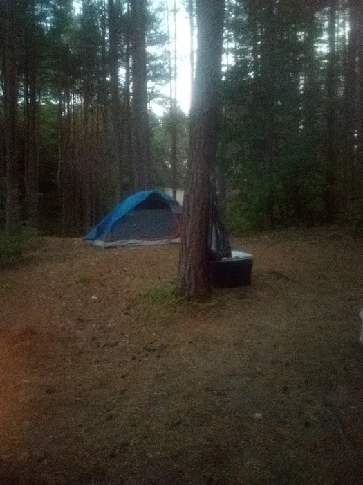 Soft Maple Campground Picture 6