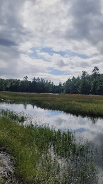 Limkilm campground nature trial Picture 2