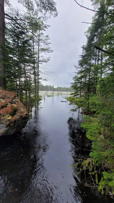 Limkilm campground nature trial Picture 7