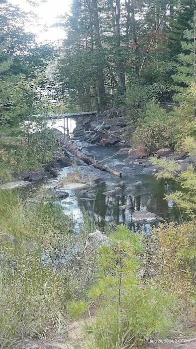 Limkilm campground nature trial Picture 8