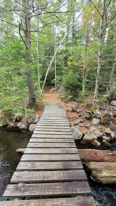 Limkilm campground nature trial Picture 5