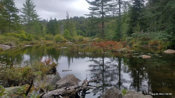 Limkilm campground nature trial Picture 6