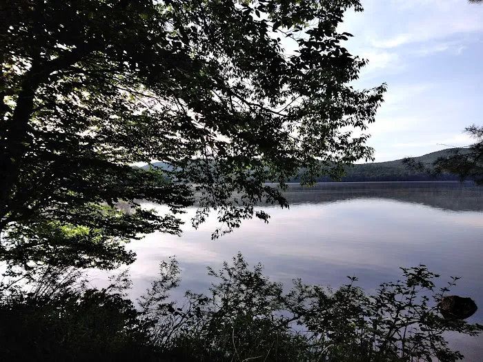 Limekiln State Campground Picture 9