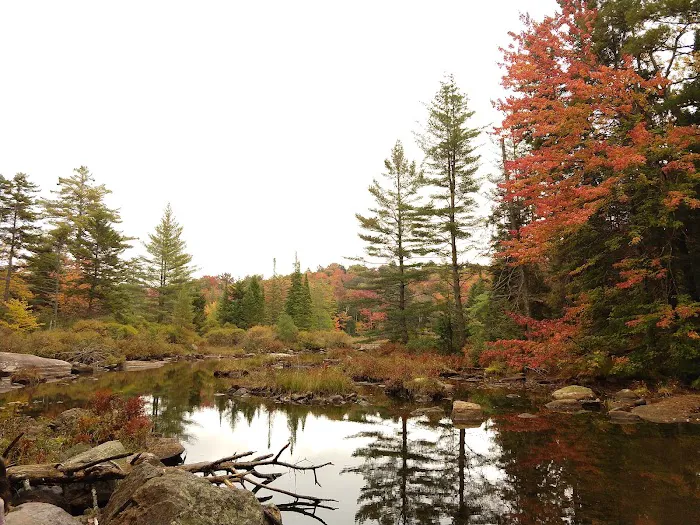 Limekiln State Campground Picture 1