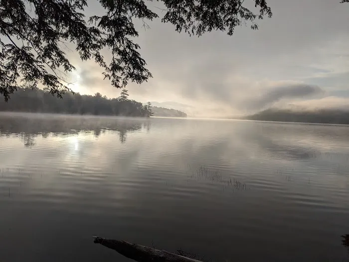 Limekiln State Campground Picture 7