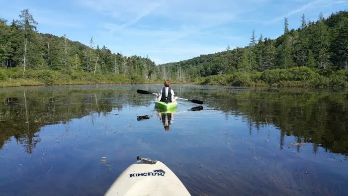 Limekiln State Campground Picture 8