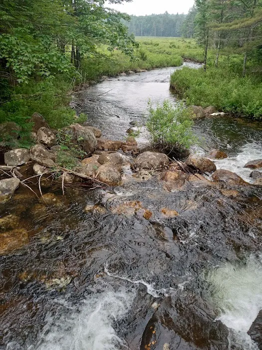 Limekiln State Campground Picture 7