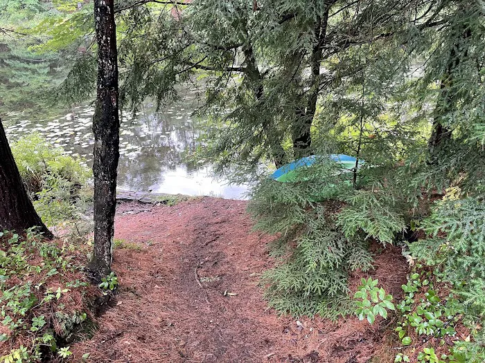 Limekiln State Campground Picture 8