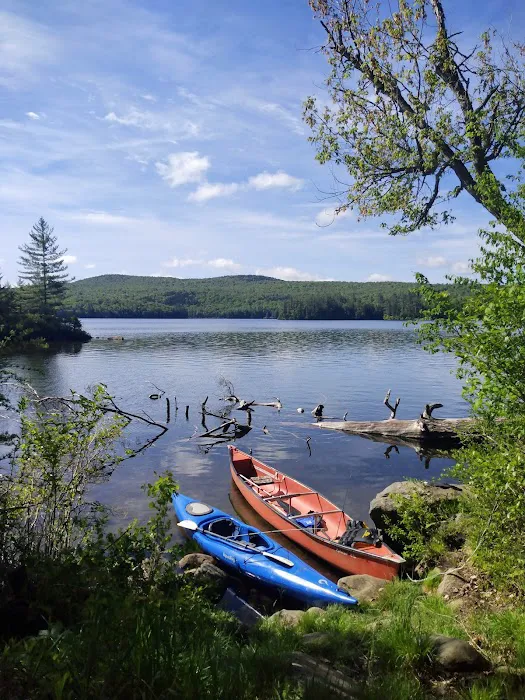 Limekiln State Campground Picture 4