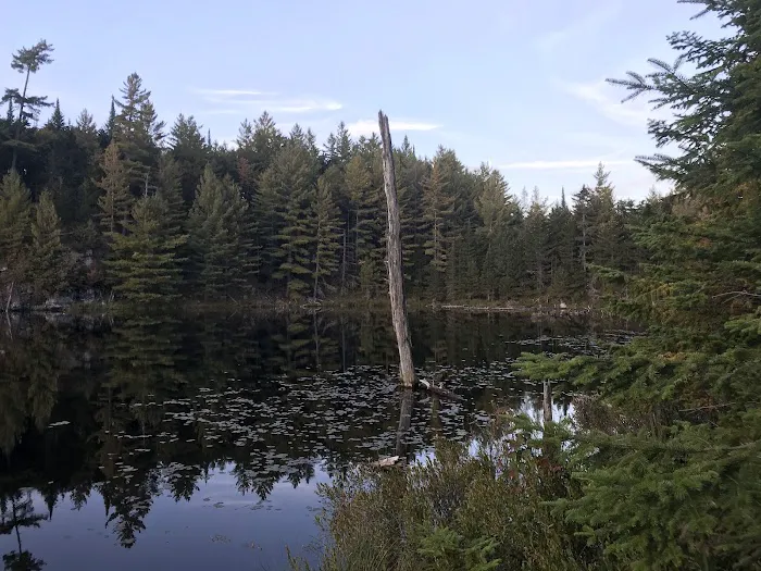 Moose River Plains visitor sign in. Picture 8