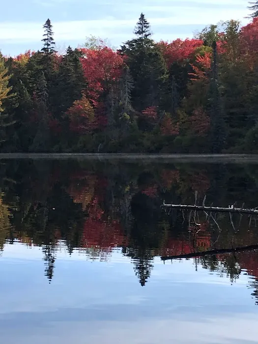 Moose River Plains visitor sign in. Picture 4