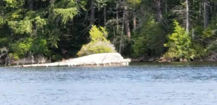 Moose River Plains visitor sign in. Picture 6