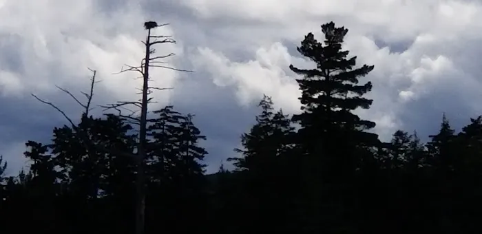 Moose River Plains visitor sign in. Picture 7