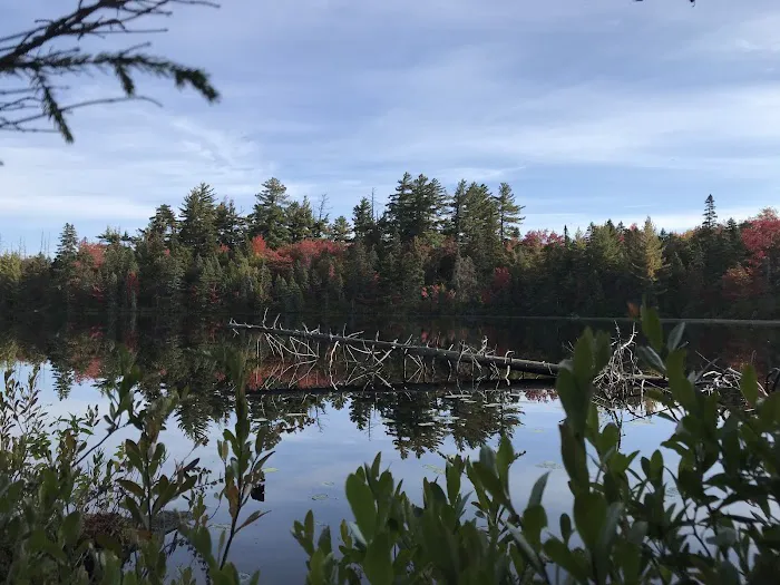 Moose River Plains visitor sign in. Picture 2