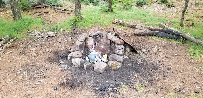 Moose River Plains visitor sign in. Picture 9