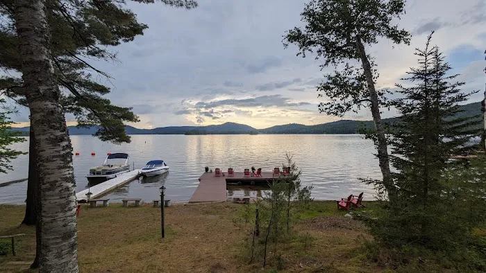 The Birches Picture 1