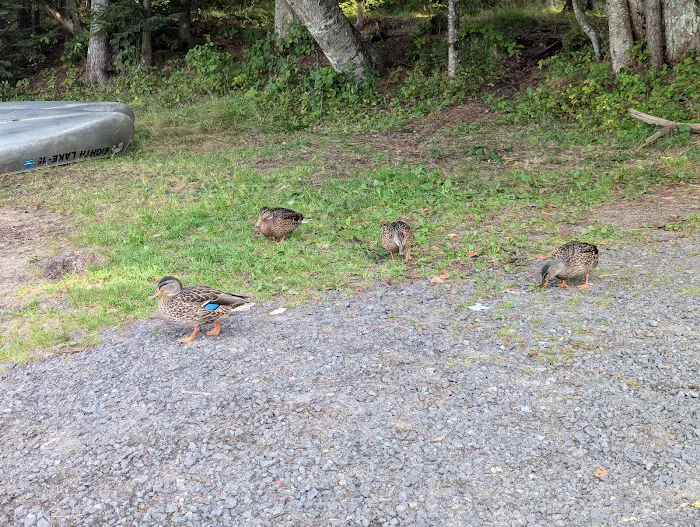 Eighth Lake Campground Picture 9