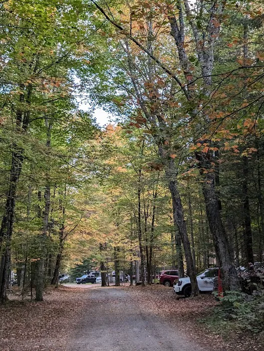 Eighth Lake Campground Picture 4