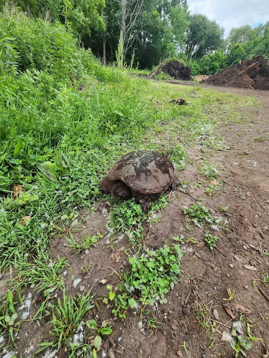 North Bay Campgrounds Picture 2