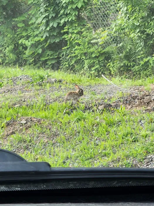 North Bay Campgrounds Picture 1