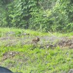 North Bay Campgrounds