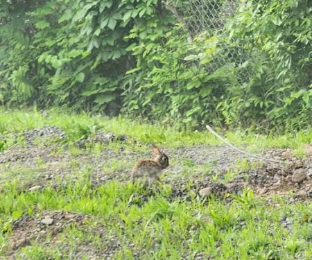 North Bay Campgrounds