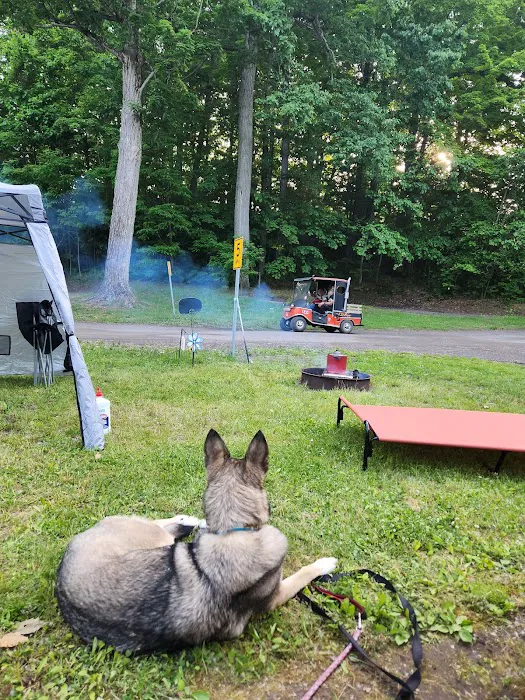 North Bay Campgrounds Picture 8