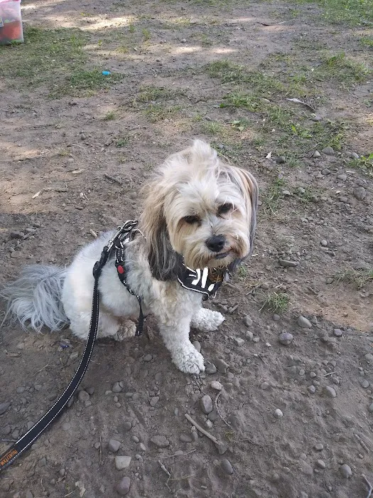 North Bay Campgrounds Picture 9