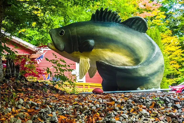 Bass Lake Resort & RV Campgrounds New York Picture 6