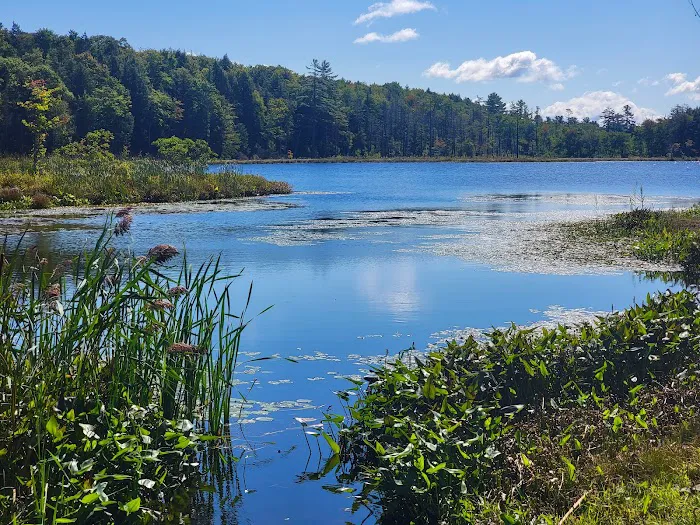 Bass Lake Resort & RV Campgrounds New York Picture 5