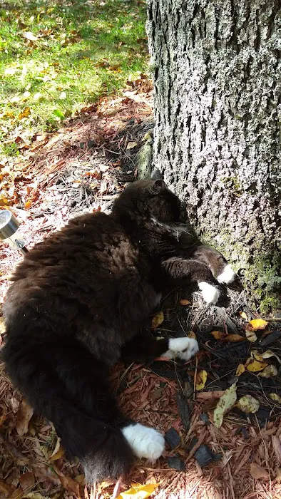 Hidden Acres Campground Picture 6