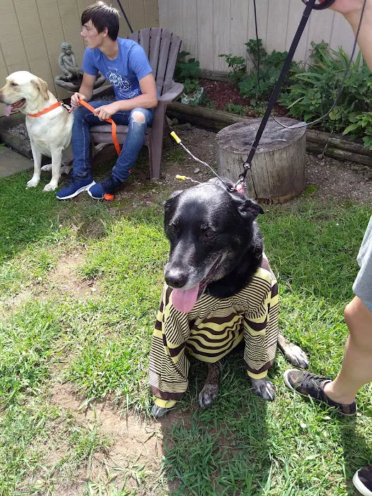 Hidden Acres Campground Picture 7