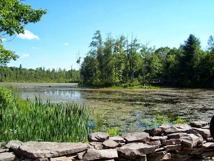 Hidden Acres Campground Picture 10