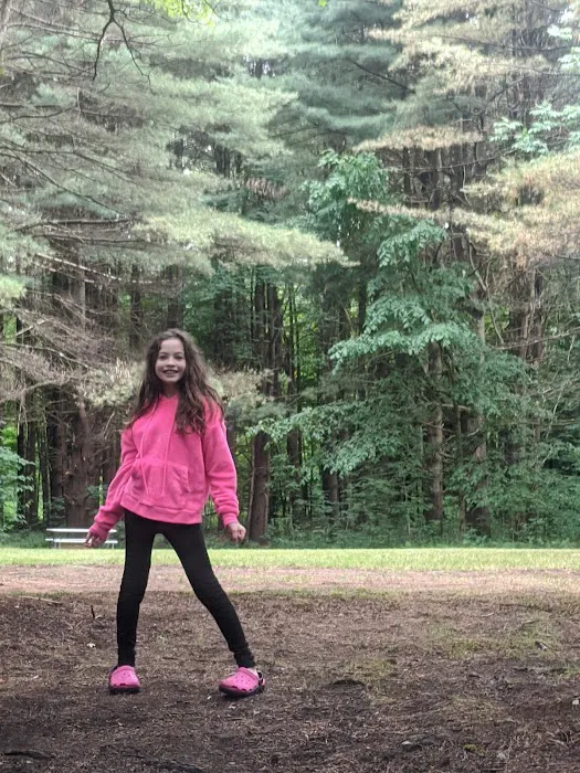 Aurora B's Family Campground Picture 3