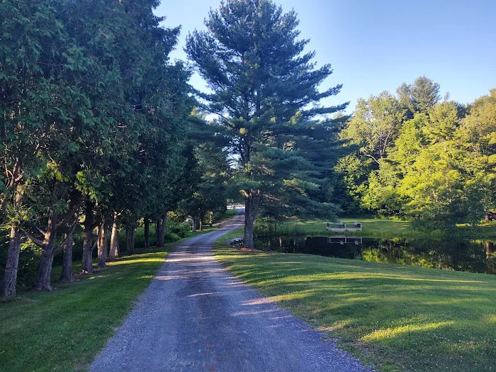 Aurora B's Family Campground Picture 7