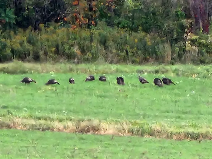 J & J Campgrounds Picture 1