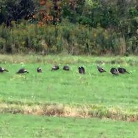 J & J Campgrounds ico