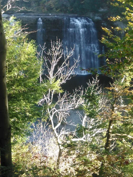 J & J Campgrounds Picture 5