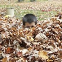 Dempster Grove Camp Ground ico