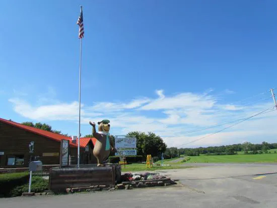 Yogi Bear's Jellystone Park at Mexico, NY Picture 3