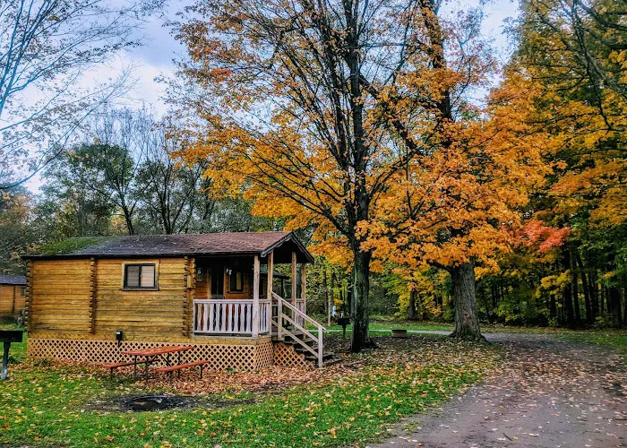 Yogi Bear's Jellystone Park at Mexico, NY Picture 5
