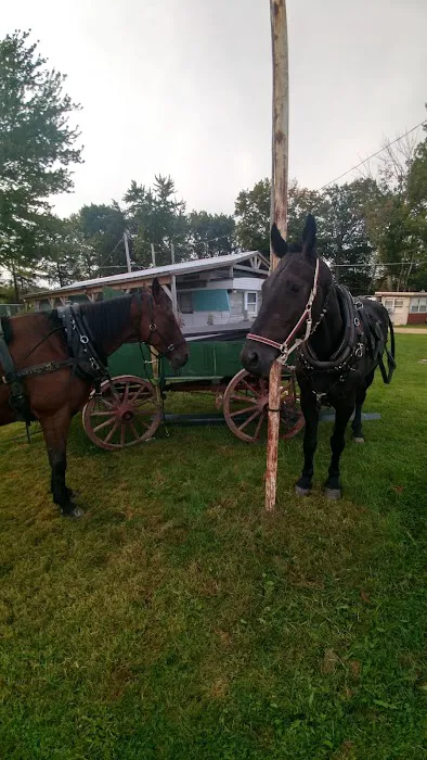 Dowie Dale Campground Picture 1
