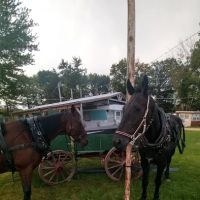 Dowie Dale Campground ico