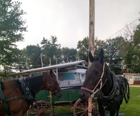 Dowie Dale Campground