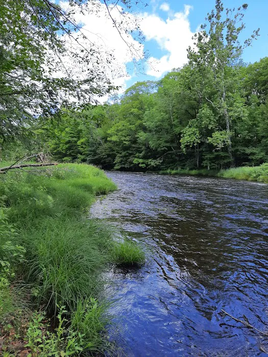 Brown's Campground Picture 6