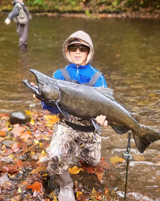 Brown's Campground Picture 2